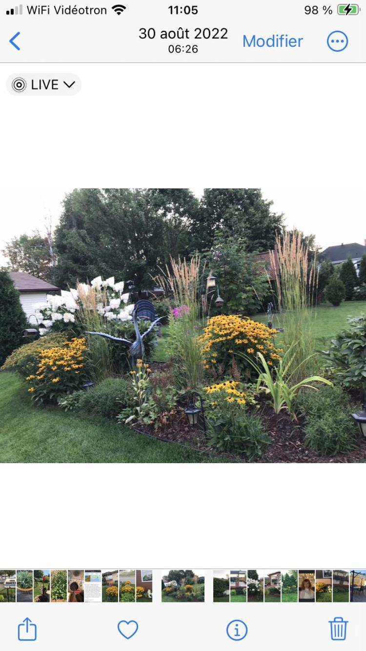 Oasis De La Riviere Leilighet Chicoutimi Eksteriør bilde